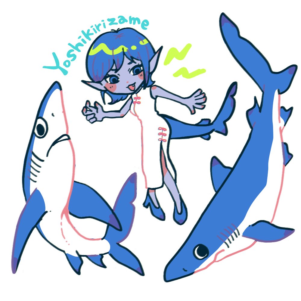 ヨシキリザメちゃん🦈
