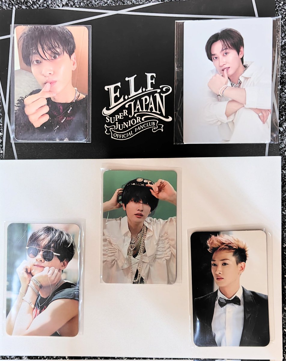 SUPERJUNIOR #SS10 アプグレプレミアムシート特典トレカ交換 求