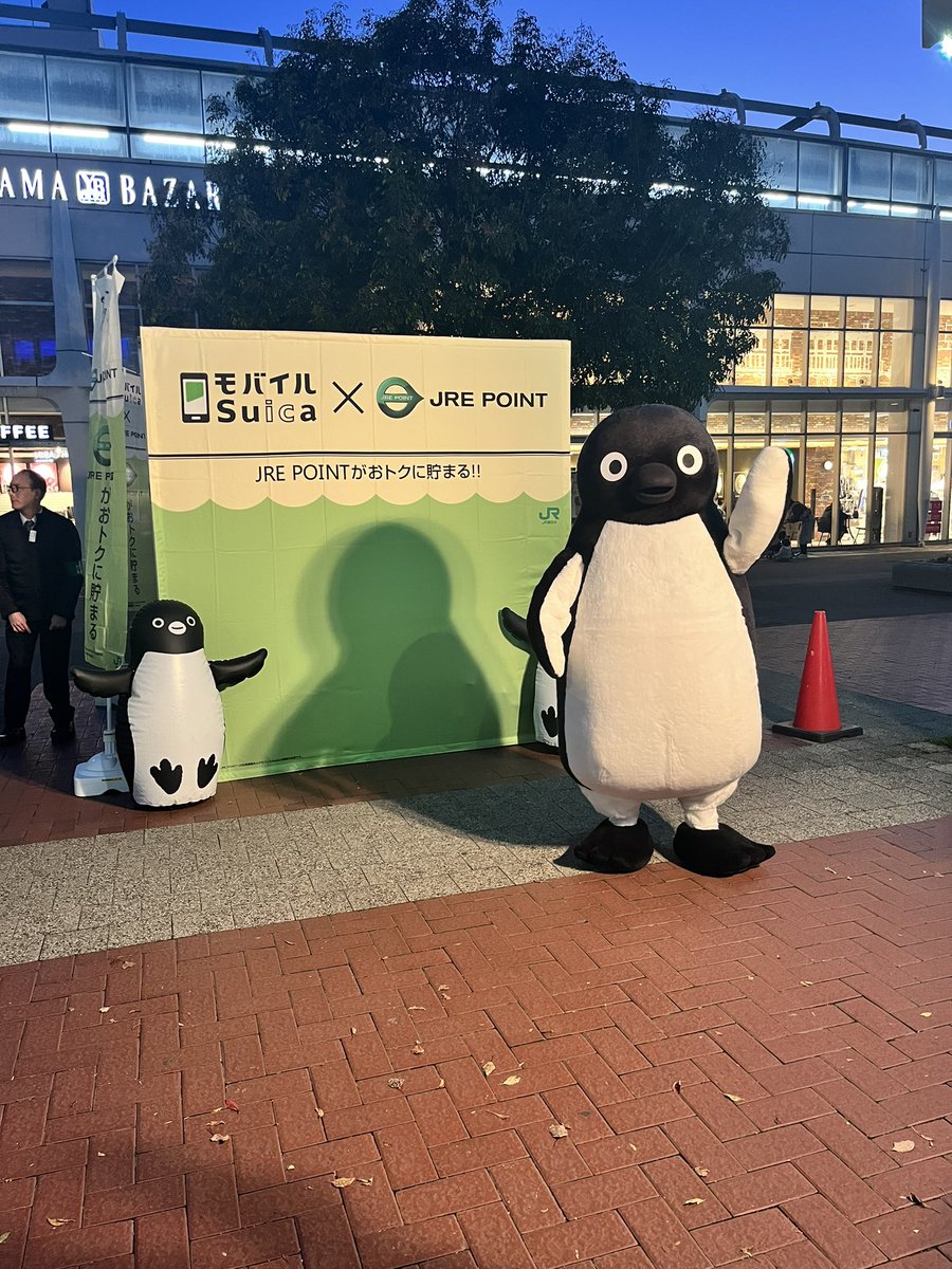 狙うまめちゃん。@ﾅﾝｶﾚｰ協会ﾆｺﾆｺ支部長 (@mm_chan252525) / Posts / X