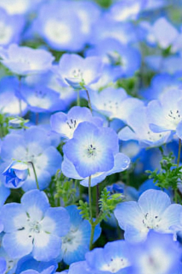 🙋はい。 🐬🐬kazu@298ｻﾝ🐬🐬🐬 おはよう御座います。 私こそ、どうぞ