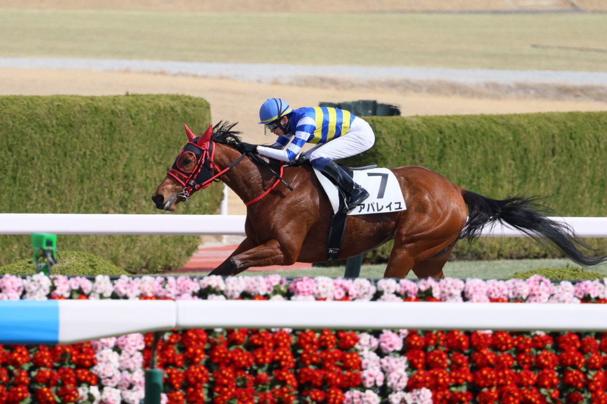 イッシー (@issy3594) / Posts / X