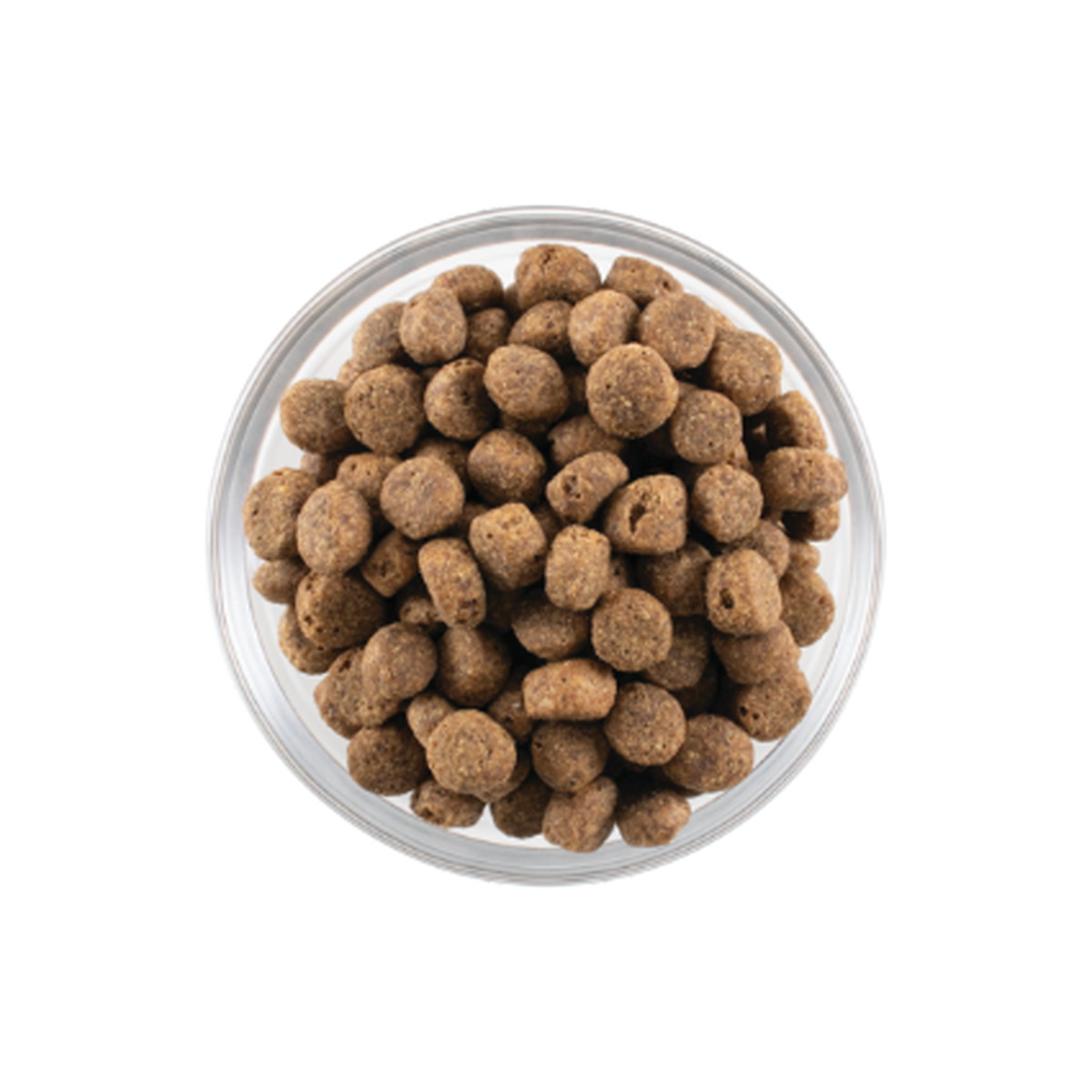 NOW FRESH Grain Free スモールブリード シニア＆ウェイトマネジメント