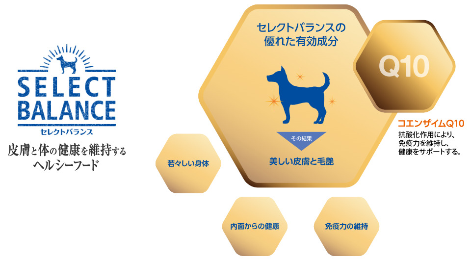セレクトバランス エイジングケア チキン 中粒 7才以上の成犬用 7kg