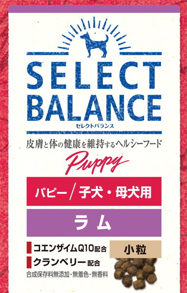 ブリーダー】 セレクトバランス アダルト チキン 小粒 1才以上の成犬用