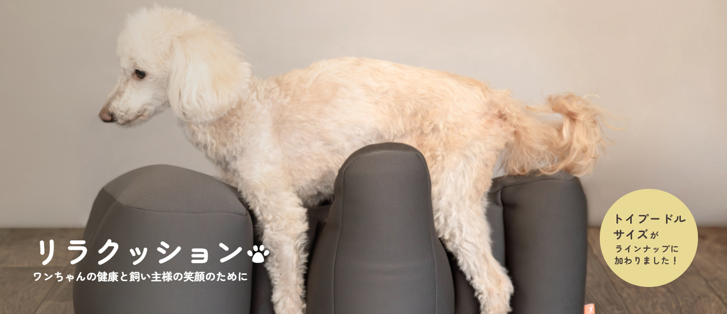 リラクッション トイプードルサイズ チャコールグレー: 300｜業務用