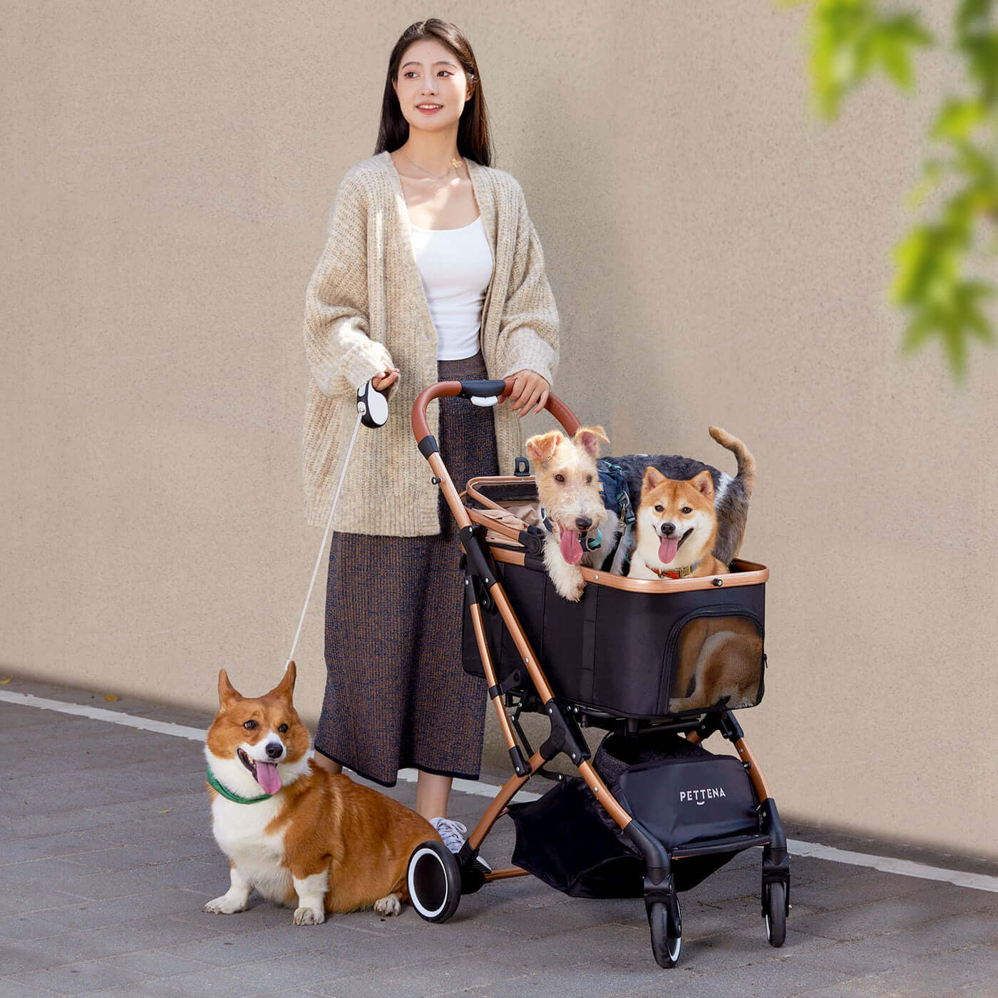 4WAY分離式ペットカート｜車載・散歩に最適な折りたたみ式！中型犬20kg