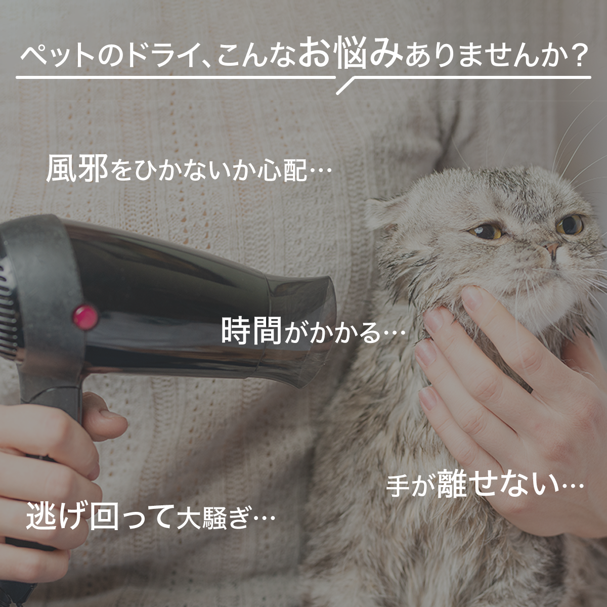 PET MARVEL 公式 ドライヤーハウス Natural Wind ドライルーム