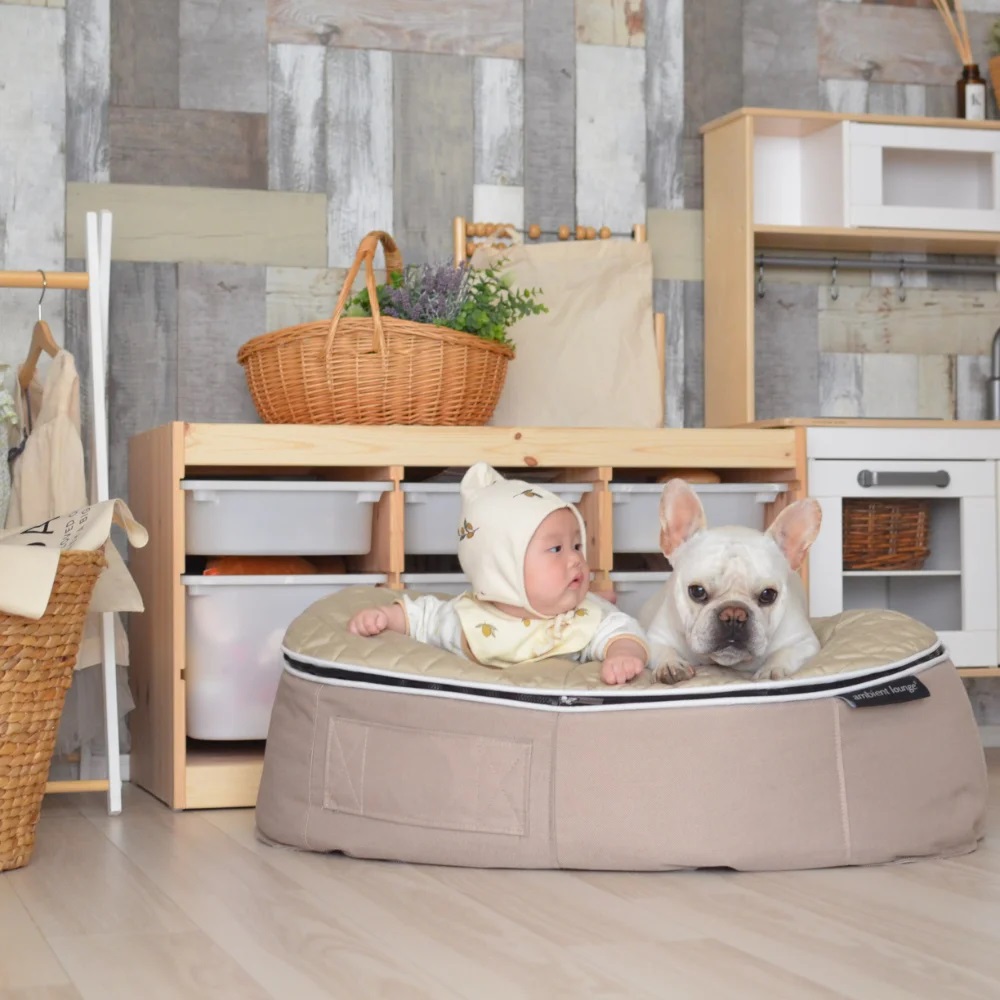 アンビエントラウンジ】ベッド取替カバーS Pets-first ONLINESTORE