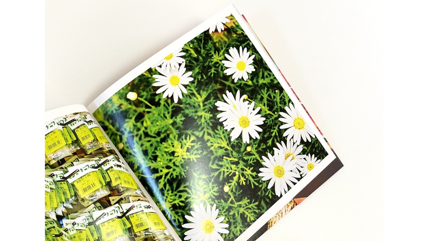 髙橋義隆：西田航『COLOR OF KANSAI』：Photo & Culture, Tokyo