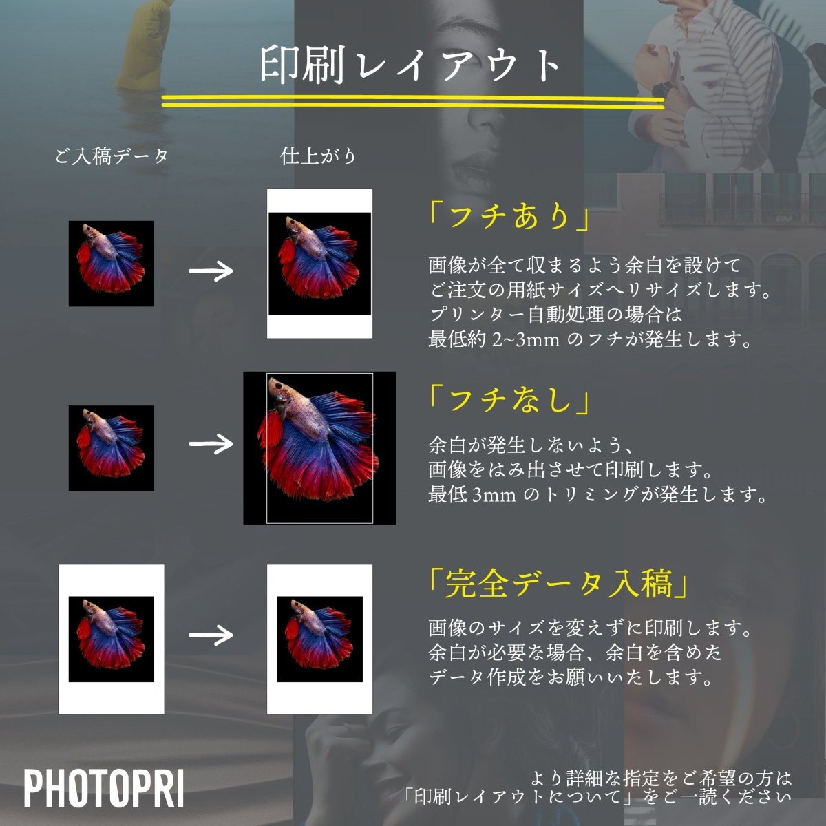 Canon】微粒面光沢ラスター - PHOTOPRI【写真展・美術展品質のプリント