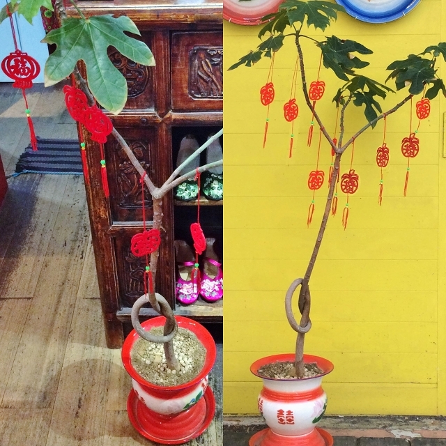 招福☆招財☆チャイナ吊るし飾り/同柄6個セット/大阪/南堀江/ピサヌローク