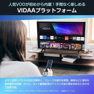 Hisense 50E6N [50V型 地上・BS・110度CSデジタル 4K内蔵 液晶テレビ