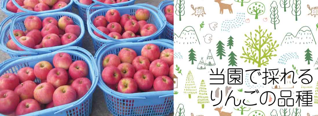 ポポちゃんのりんご園通信販売 / TOPページ