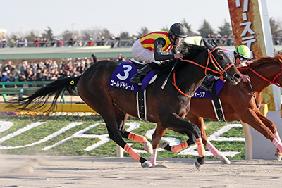 出走馬紹介 ドバイワールドカップデー特集2017