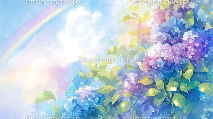 梅雨の晴れ間に輝く紫陽花と虹 水彩タッチの幻想的な風景「AI生成画像