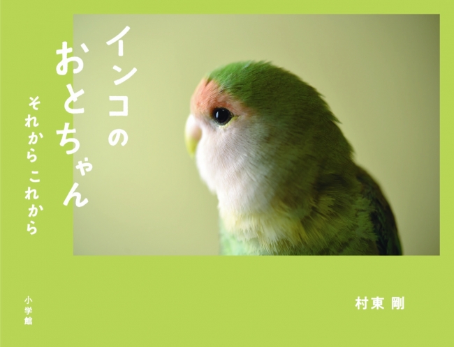 インコ界のアイドル“おとちゃん”の写真集『インコのおとちゃん