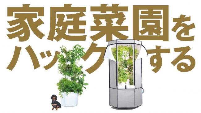 全自動家庭菜園キット「エアロスプリング(Aerospring)」がクラウド