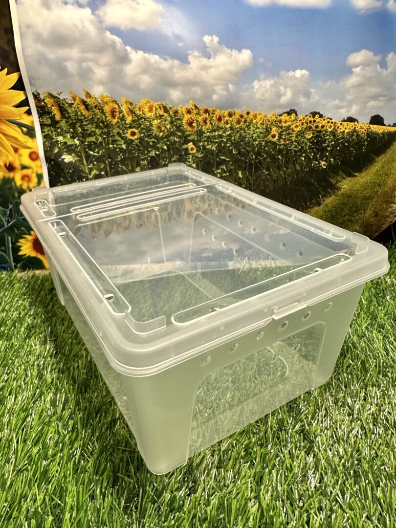 レプタイルボックス 昆虫 爬虫類 両性類飼育ケース クリア | ピュア