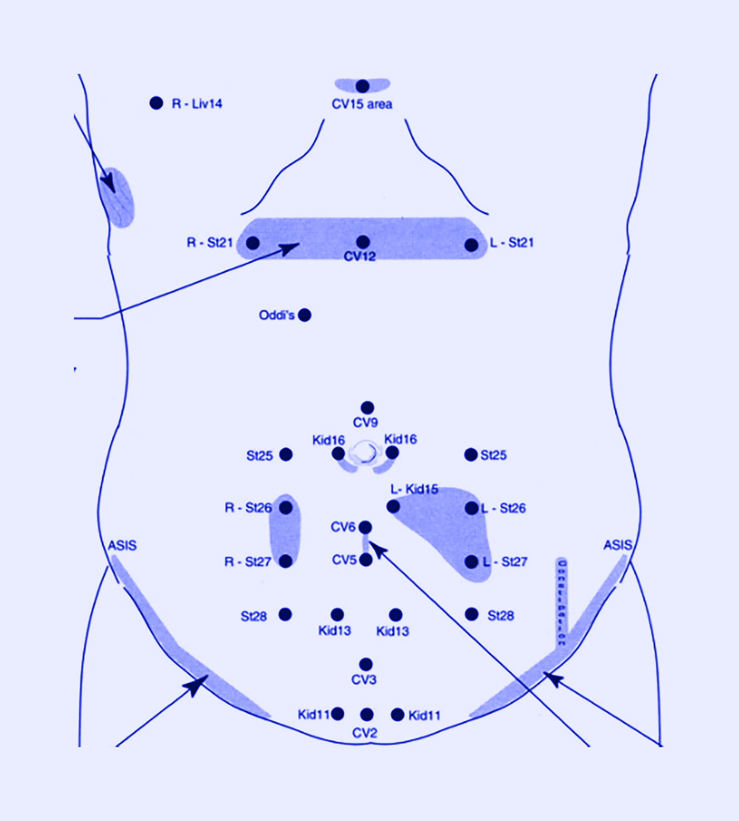 Kiiko Matsumoto Style Acupuncture: the power of palpation and
