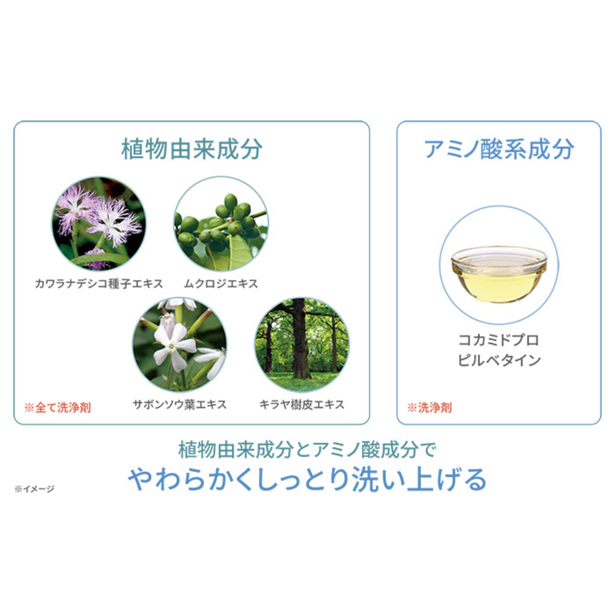 オーデュオー コットンフォームマーベラスモイスト2本+レフィル5個