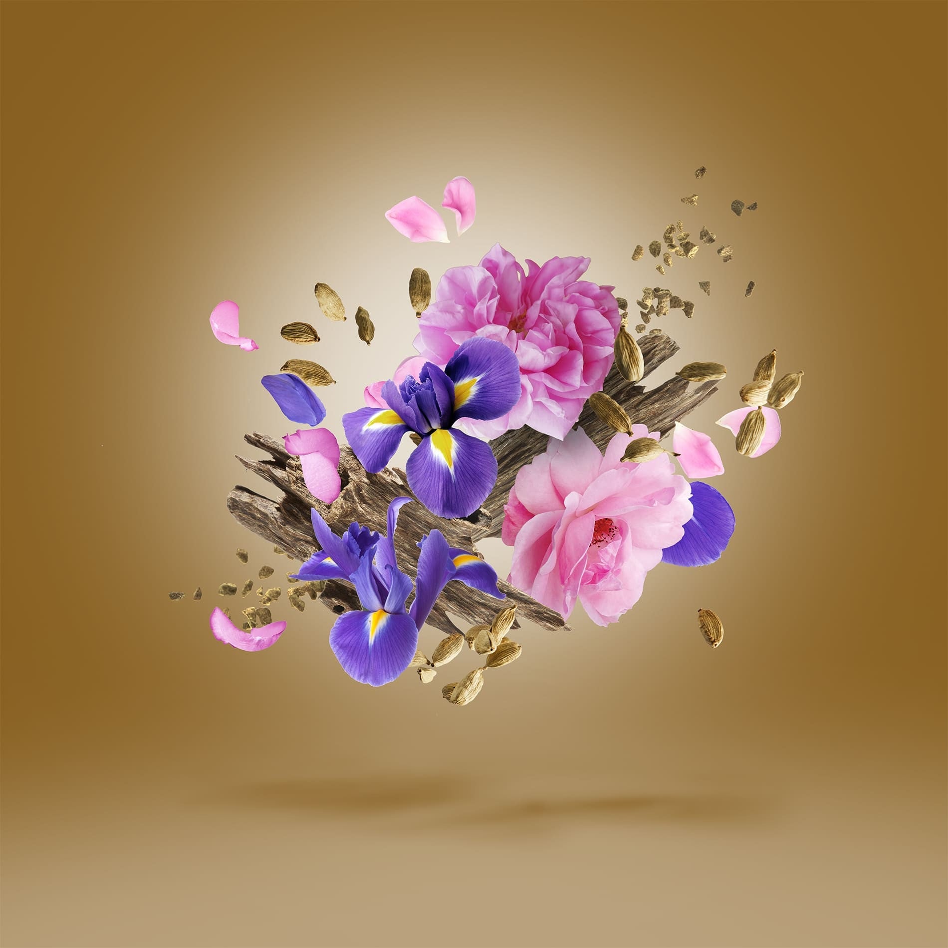 Xerjoff Alexandria II Anniversary Parfum - Rabica