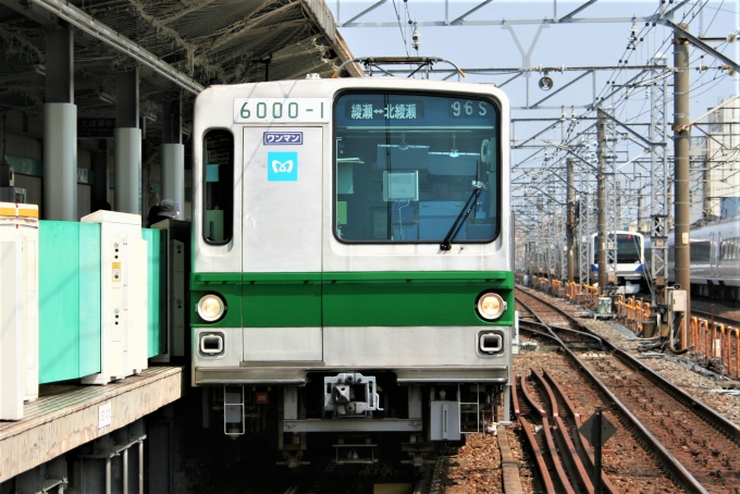 東京メトロ 6000-1 (営団6000系) 車両ガイド | レイルラボ(RailLab)