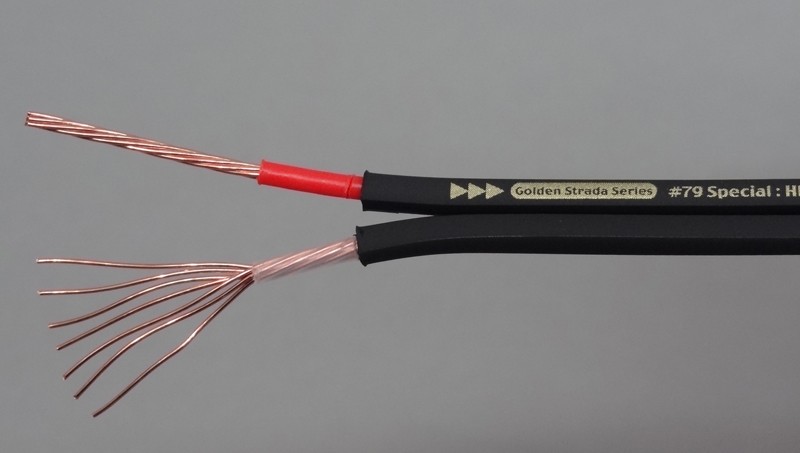 ナノテック・システムズ SP#79 Special 安くてもイイスピーカー