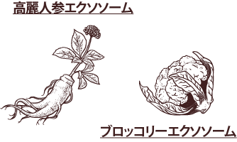 美白キャビア スキンブースター（YouthHeal ユースヒール） - 表参道レ