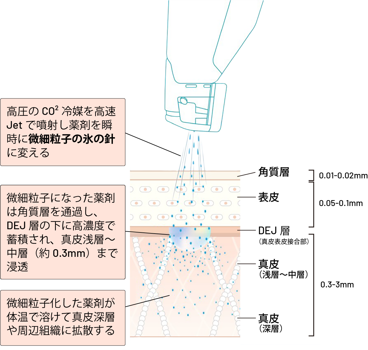 美白キャビア スキンブースター（YouthHeal ユースヒール） - 表参道レ