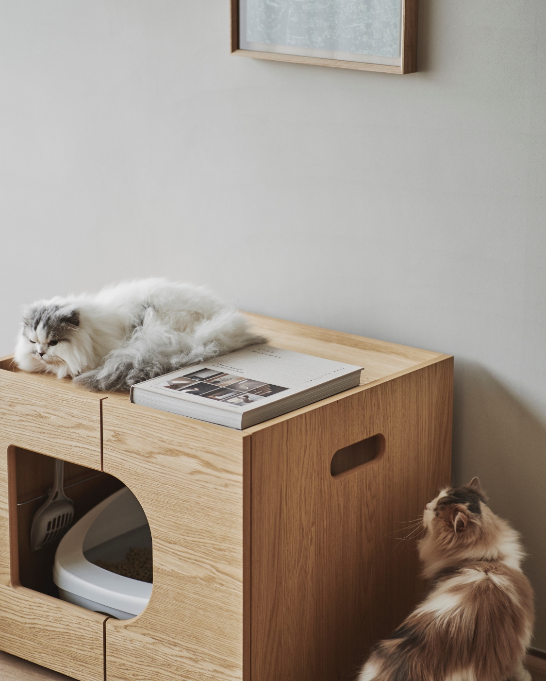 KARIMOKU CAT RESTROOM | Journal - RINN Inc.