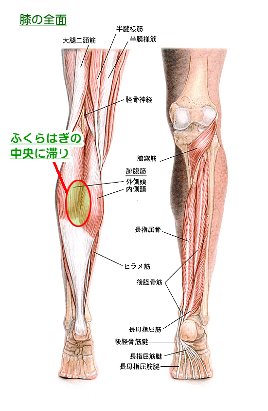 天城流湯治法 膝痛 リックスマツヤ 天城流マイスター 小松 隆