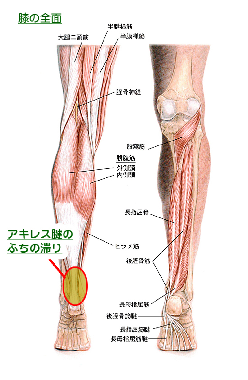 天城流湯治法 膝痛 リックスマツヤ 天城流マイスター 小松 隆