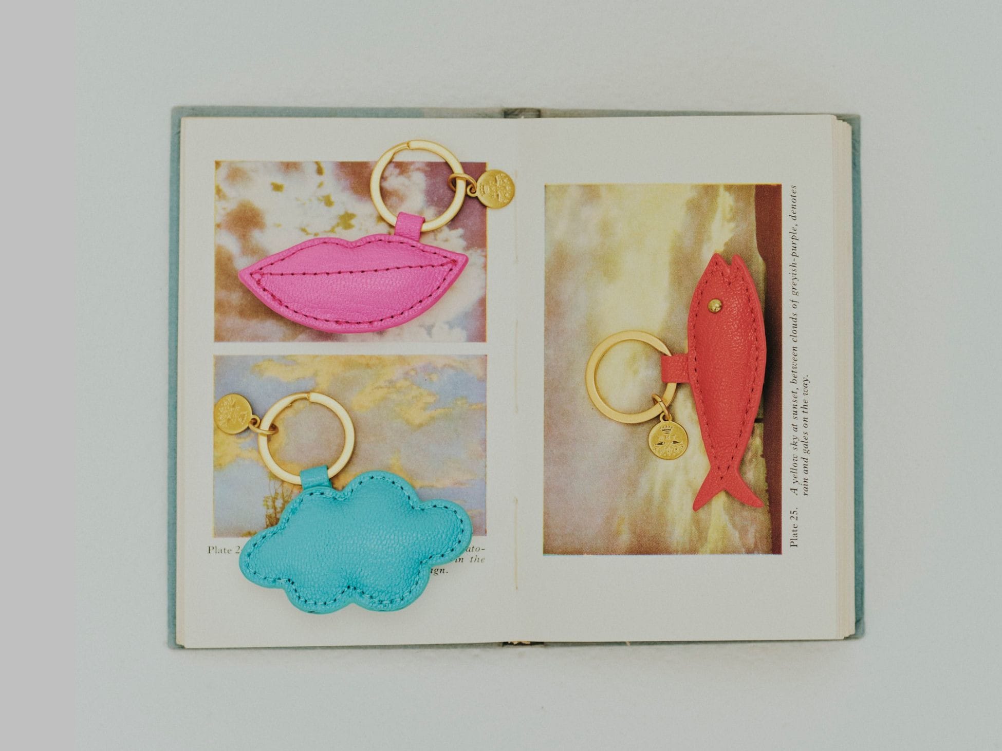 Utility Canvas for Ron Herman Quilted Cushion New Release News