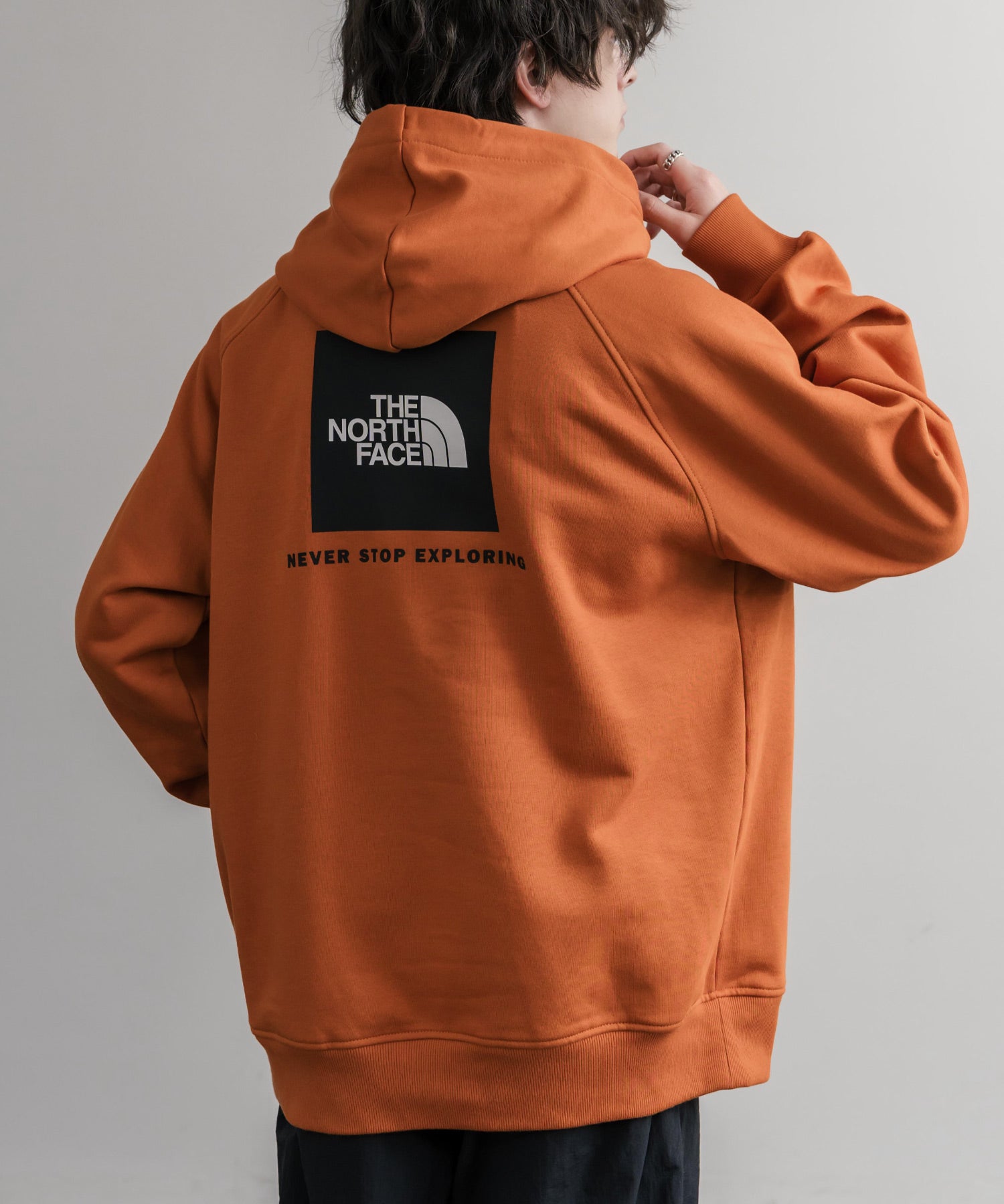 THE NORTH FACE ザ・ノースフェイス RAGLAN REDBOX HOODIE オーバー