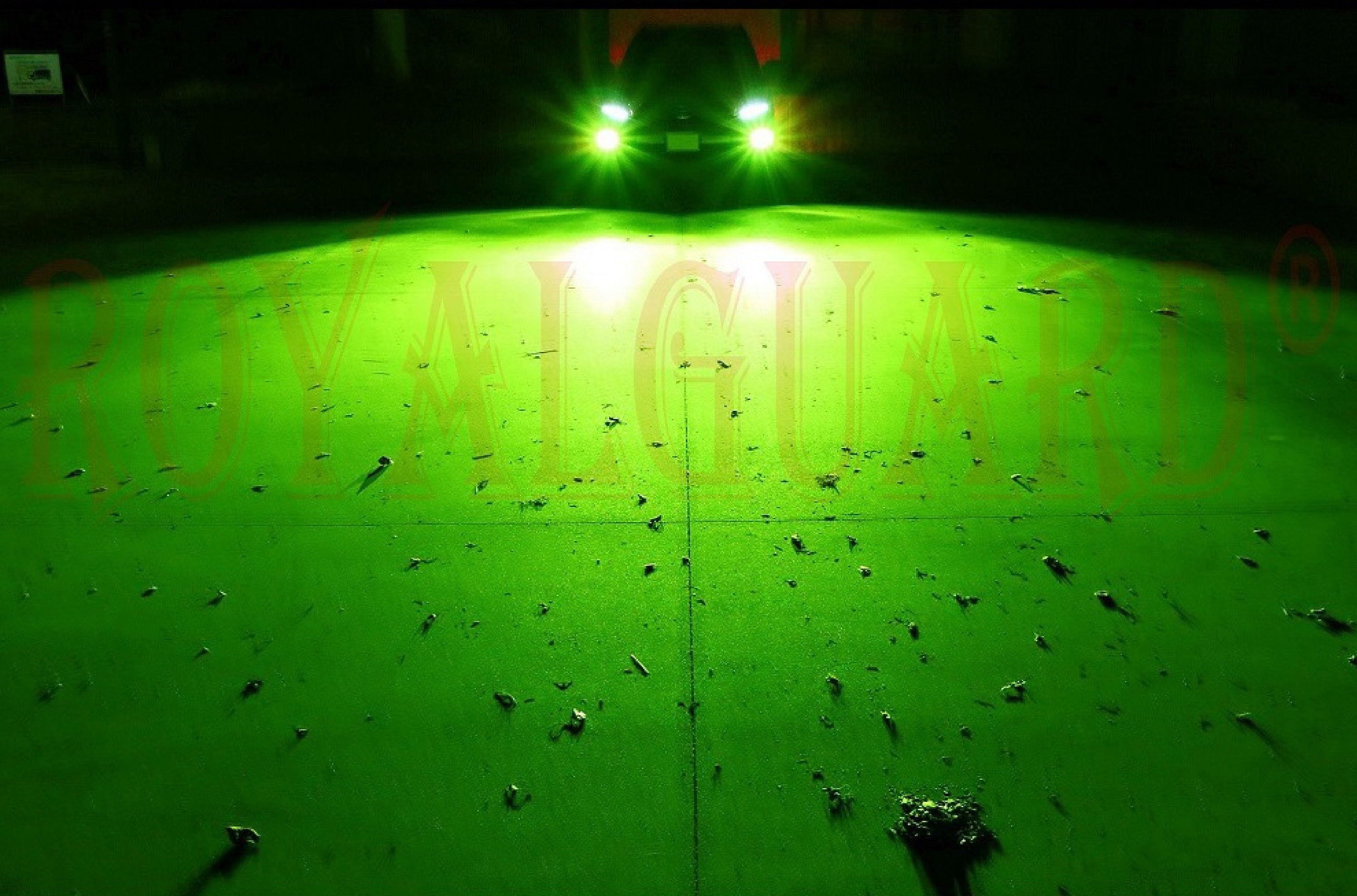 実測世界一明るいLEDです ロイヤルガード零 ライムイエロー LEDフォグ