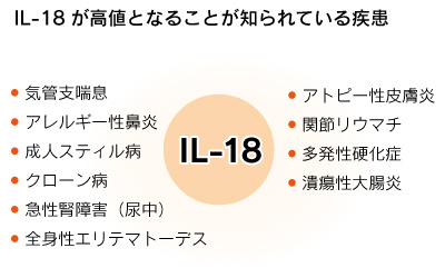 IL-18 | MBLライフサイエンス