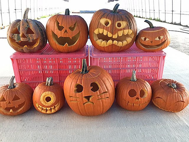 月刊 現代農業2018年11月号 産地で売り上げ5000万円突破 ハロウィン