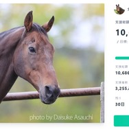 元競走馬「ナイスネイチャ」誕生日記念寄付が今年も幕開け！ 開始から