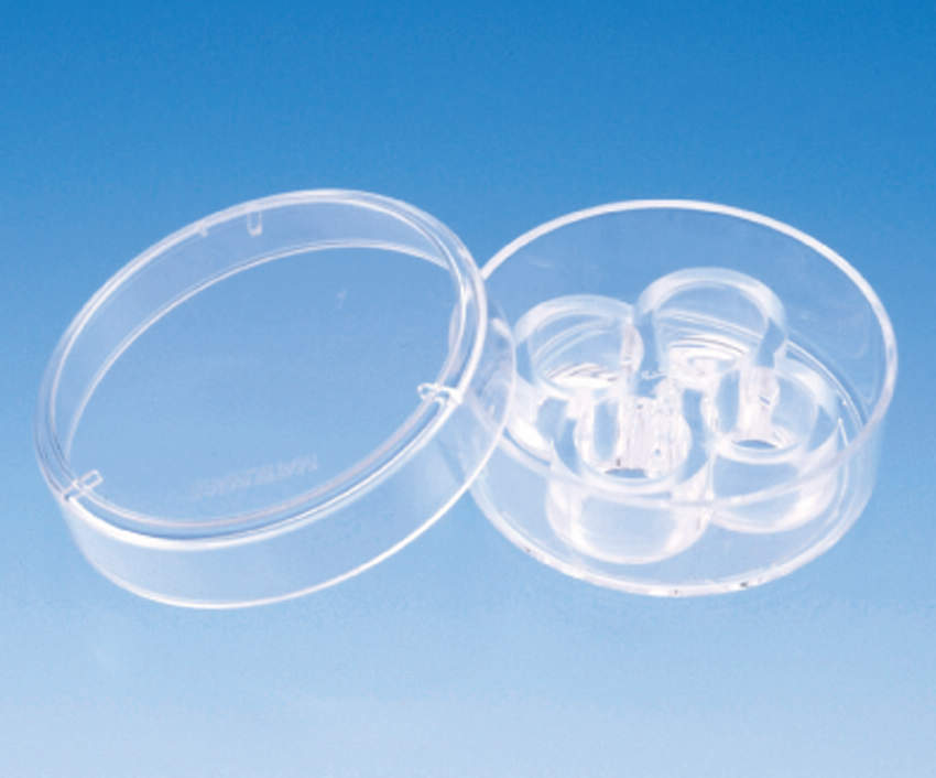 ﾏﾙﾁｳｴﾙ ガラスボトムディッシュ D141400｜総合的理化学機器商社