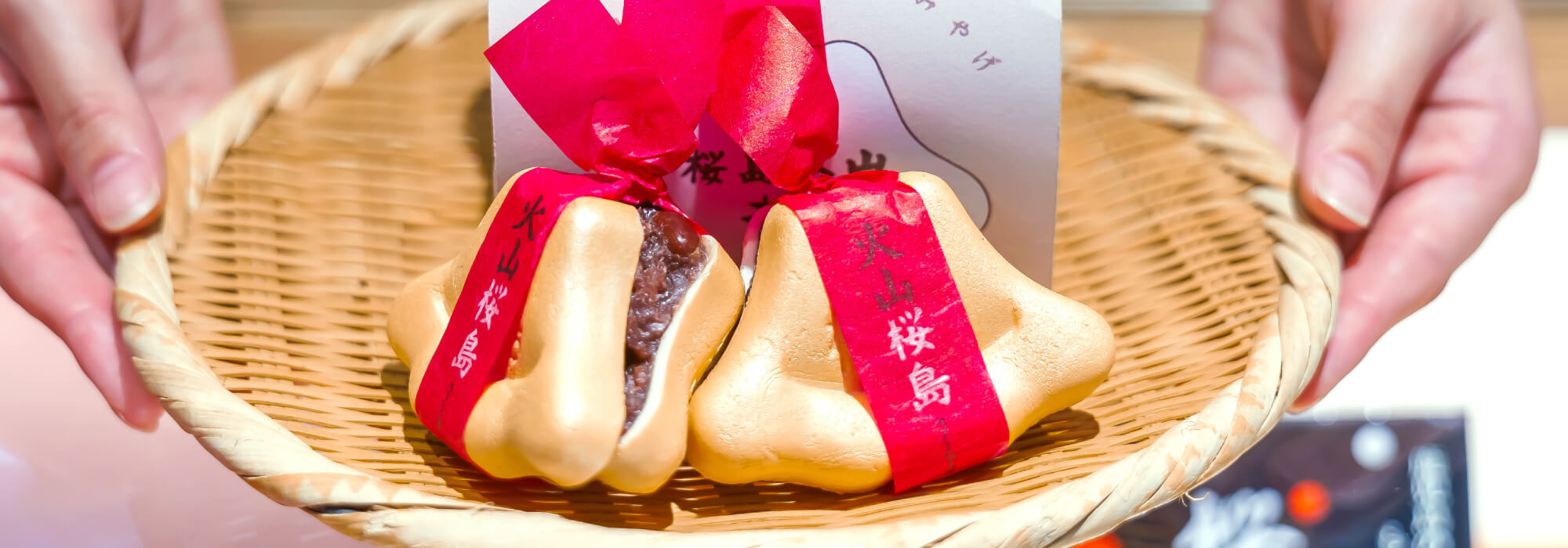 桜島火山もなか本舗