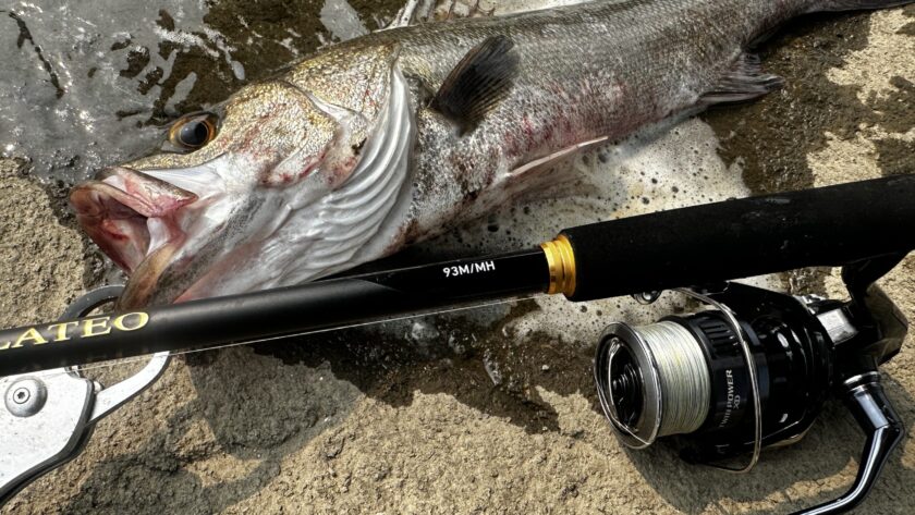 24ラテオ93M/MHのインプレ！実釣感想とコスパ抜群の旧作から進化した