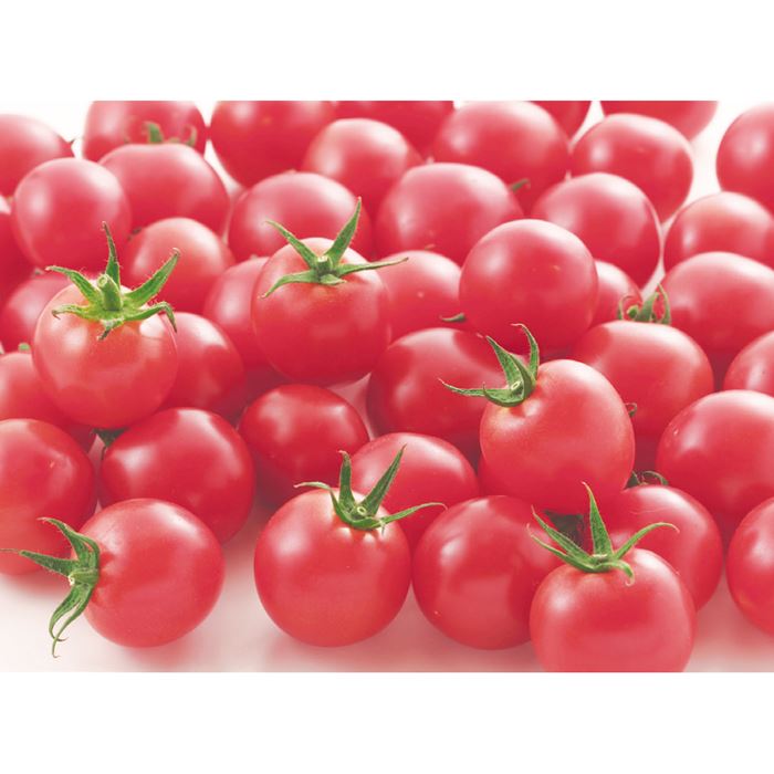 ミニトマト キャロルロゼ｜種（タネ）,球根,苗,資材,ガーデニング