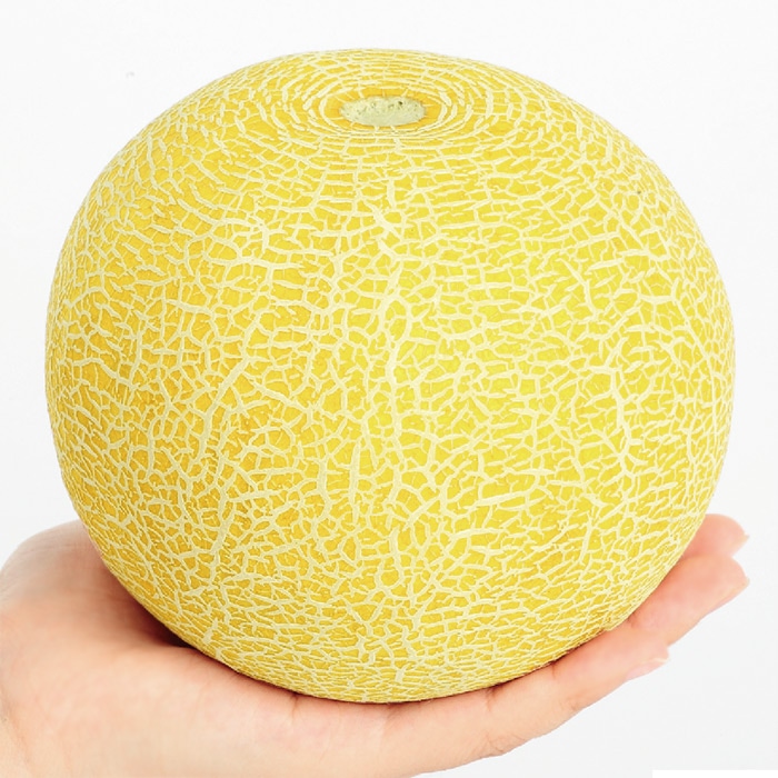 ネットメロン ころたん(R) 自根苗｜種（タネ）,球根,苗,資材