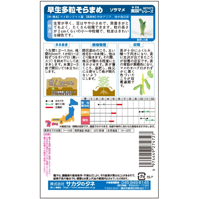 ソラマメ 早生そらまめ｜種（タネ）,球根,苗,資材,ガーデニンググッズ