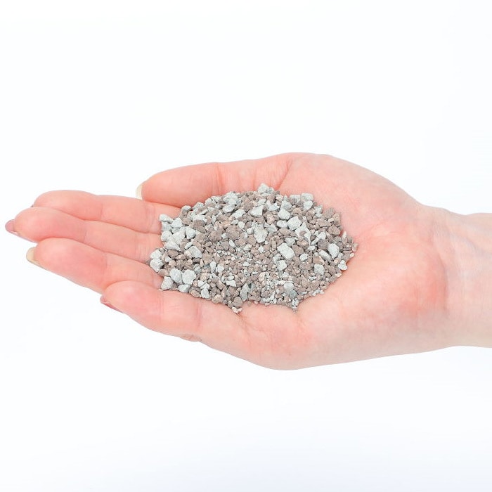 パワフルシリカ｜種（タネ）,球根,苗,資材,ガーデニンググッズの通販は