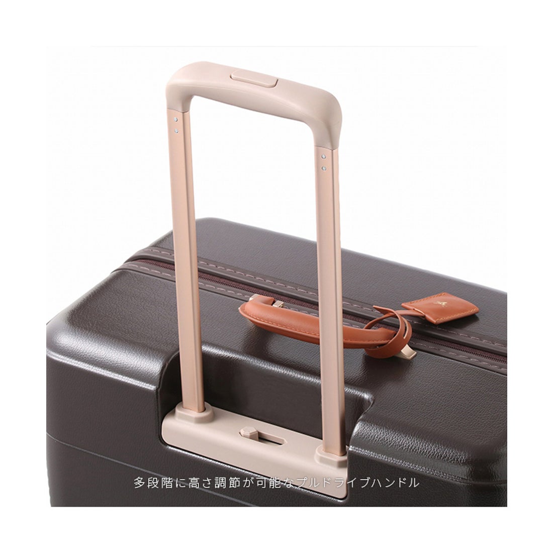 ハント HaNT エース ハント ノートル スーツケース Lサイズ 75L 女性