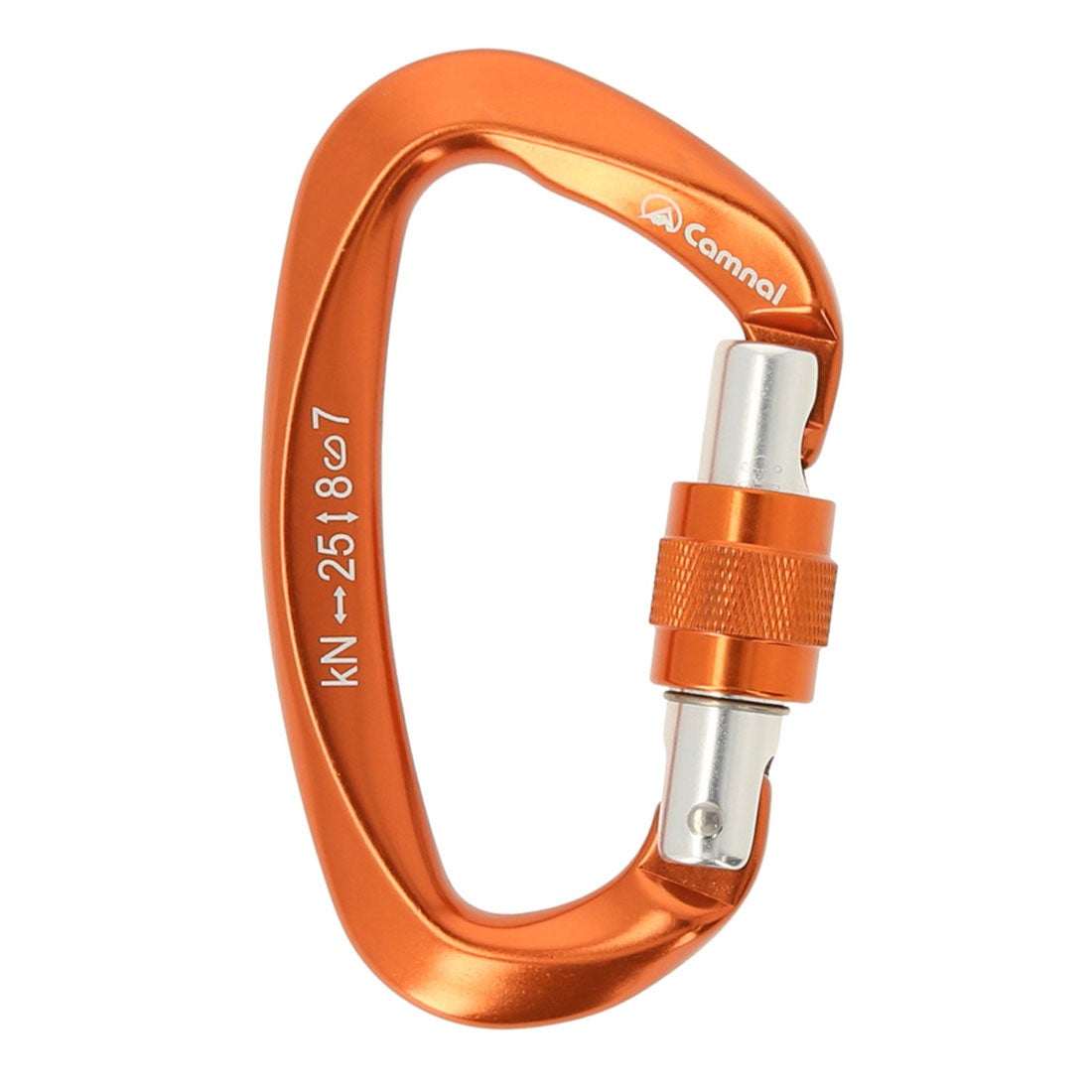 バックヤードファミリー BACKYARD FAMILY カラビナ おしゃれ 大型 登山