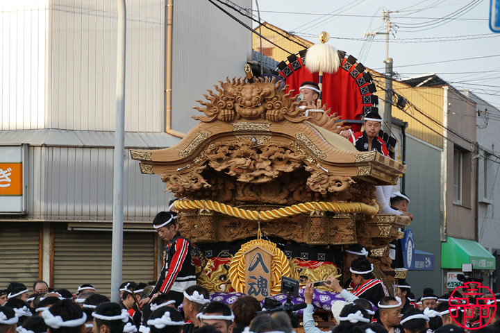令和元年05月06日(月・振) 泉大津市 濱八町地区 上之町 地車新調入魂式
