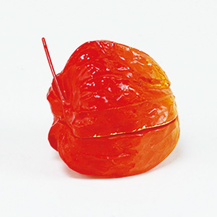 茶道具 酸漿香合 乾漆 畦地粒俵 香合