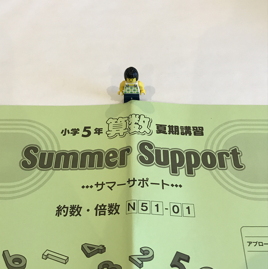 小5/サピックス：小5夏期講習の総括 | 『戦記』